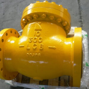 Check Valves CV42KLM for Industrial Flow Control Applications