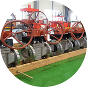 Plug Valves