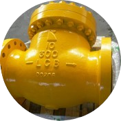 Check Valves