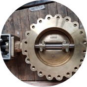 Butterfly Valve